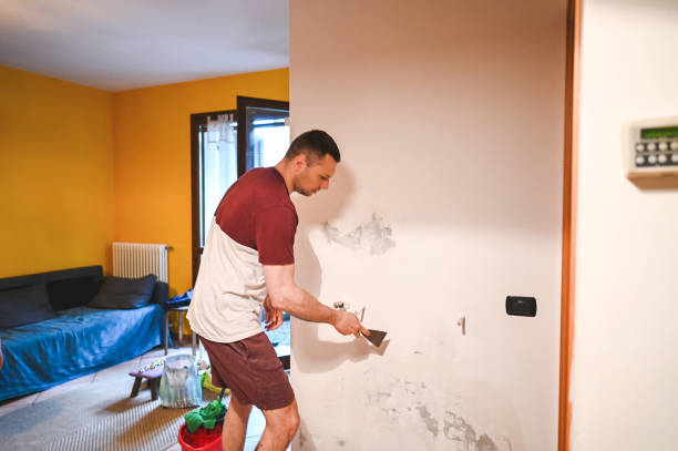 Best Bathroom Mold Remediation in Spring Valley, AZ